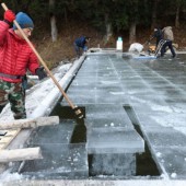 Sự phục hồi của nghề làm băng truyền thống tại Nhật Bản